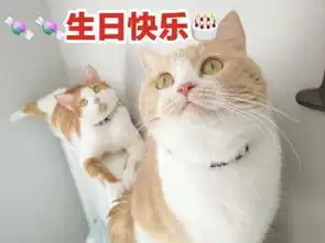  生日表情包可爱版合集祝小可爱生日快乐