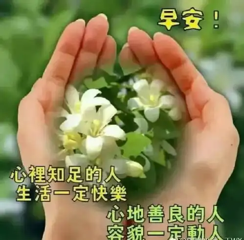  超漂亮的早安问候语表情图片,早安漂亮图片祝福语送你