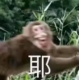  hintwater大扒皮硅谷网红饮用水,佛系程序员着迷的原因竟是