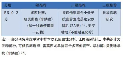  智读指南周斐教授解读驱动基因阴性非小细胞肺癌二线治疗中国专家共识