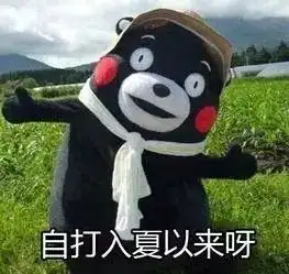 倭蜂猴表情包嘚瑟