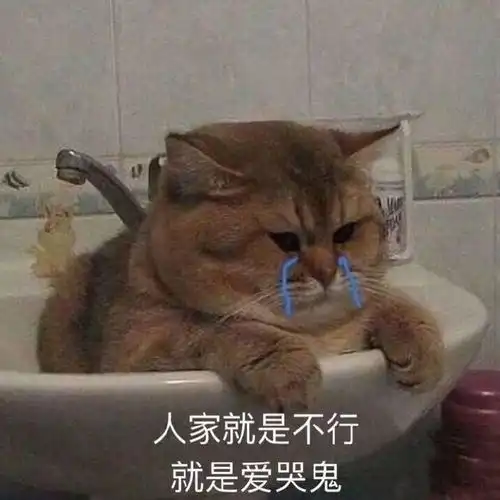  最新热门表情包动图片生气了,哄不好的那种