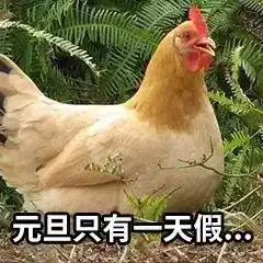  表情包动图元旦节快乐元旦快乐