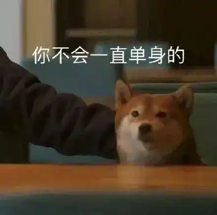  单身狗必备表情包美女只能孤芳自赏