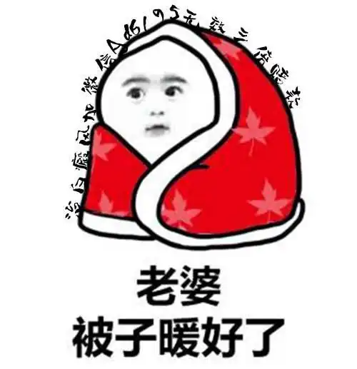 亲爱的我错了表情包大衣
