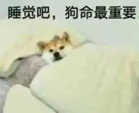 奶油猪kmall表情包睡觉