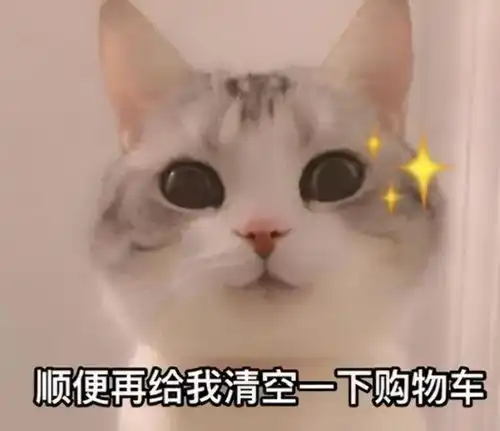 huh猫表情包动图坏心眼