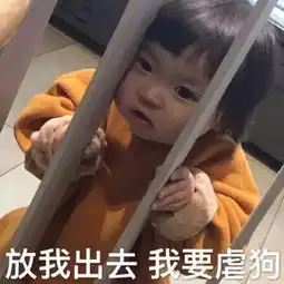 聊天润滑剂之沙雕表情包我胖虎就没受过这样否认羞辱