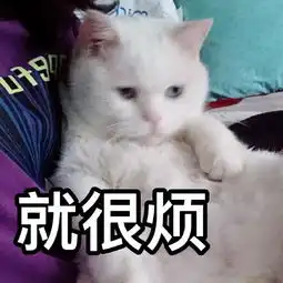  猫咪表情包睡了告辞