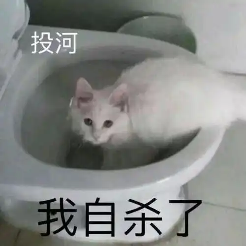  看了让人心软的认错表情包你再不理我,你将失去我这个小可爱