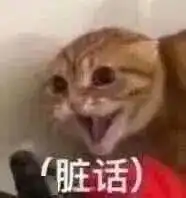  北极圈高温29全球都中暑了,巴黎却入夏失败