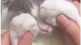  身为天水人,嘶是天水魂