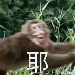  电话,地址,价格,营业时间