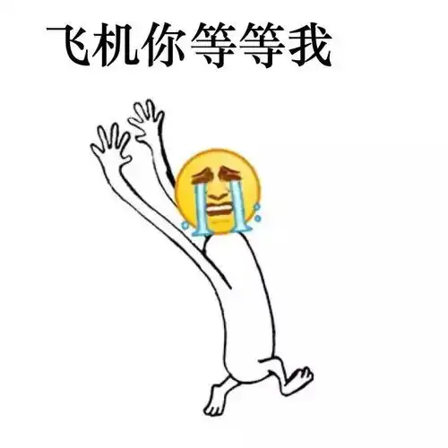  好消息从厦门乘南航厦航山航飞国内可用二维码登机,不用那么早赶飞机啦