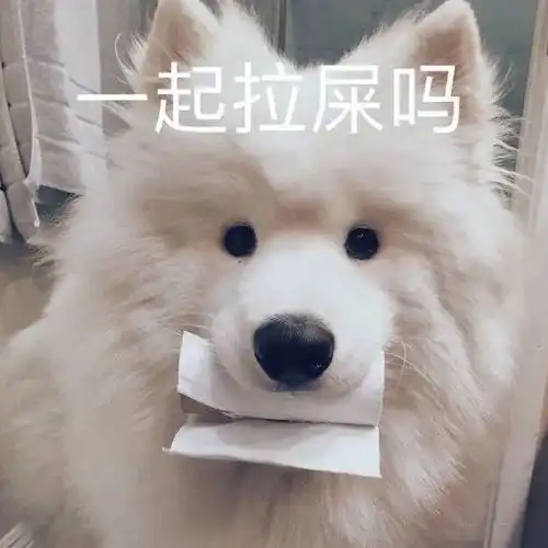  高夫人憨憨文案,蹲下来听到自己的膝盖会响,说明你听力还不错
