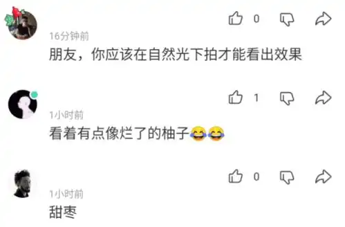  把猫寄宿在奶奶家一个月,回来我自己都认不出,确定没调包哈哈哈