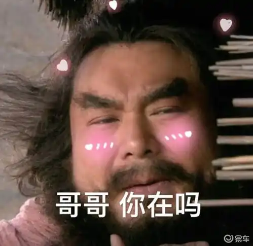  欧拉猫pk哈弗狗对不起,我是养狗党