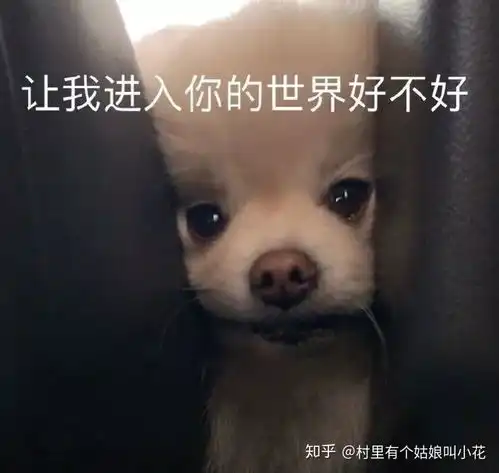 沙雕表情包配文社恐
