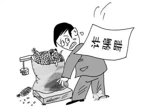 真实案例因借款30多万无力偿还而构成诈骗罪