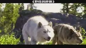 勇敢狗狗不怕困难表情包