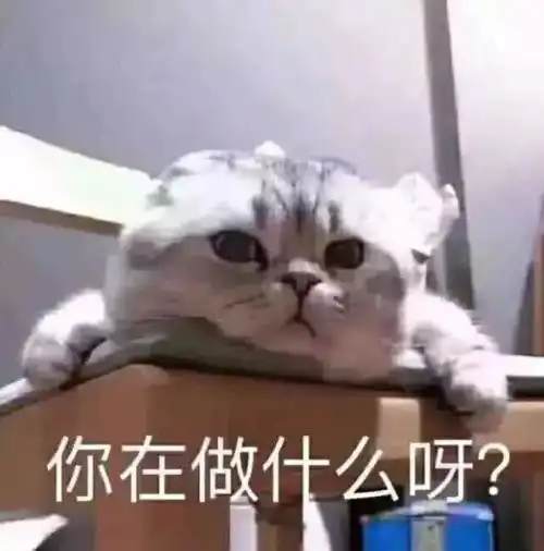  表情不知道怎么开场聊天,ins超奈斯表情包,萌出ta鼻血表情