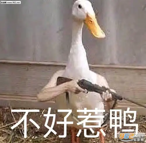 辣妮可贞德牛啤表情包图片iwillcarryyou什么意思表情包下载乐游网游戏下载
