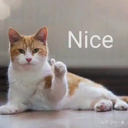 huh猫表情包动图张雨绮
