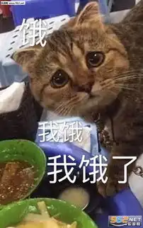  一心向学拒绝诱惑图片迷茫的扣扣头表情包下载乐游网游戏下载