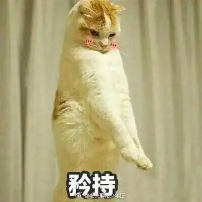  有没有一百元的安利