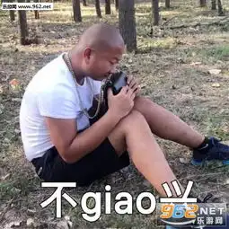 giao个微信表情包聊天表