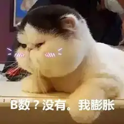  两位美女后面这位小哥的脖子经历了什么