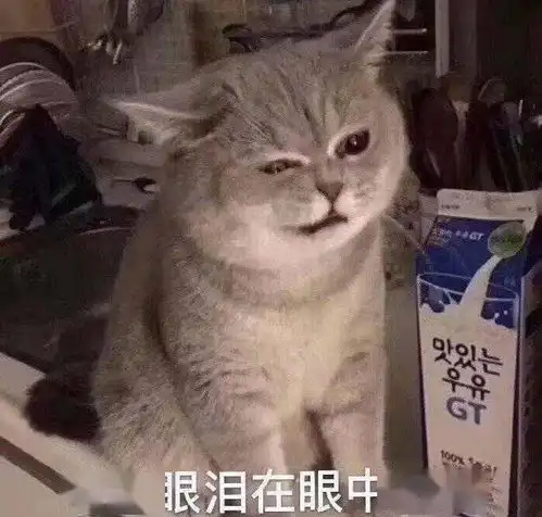  2021年的大起大落,看完笑窒息了哈哈哈哈哈哈