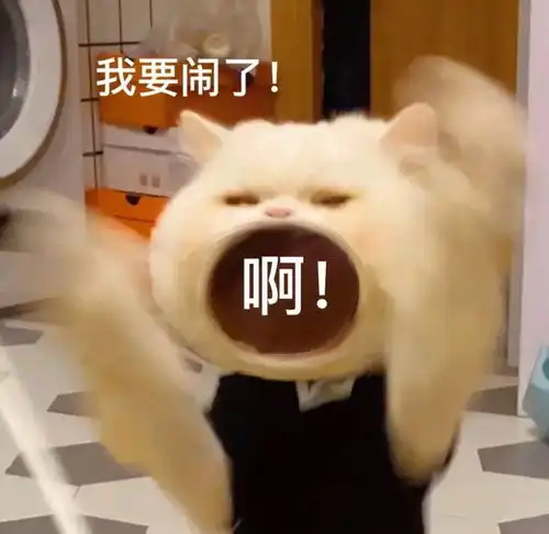  大嘴猫表情包要生活费专用