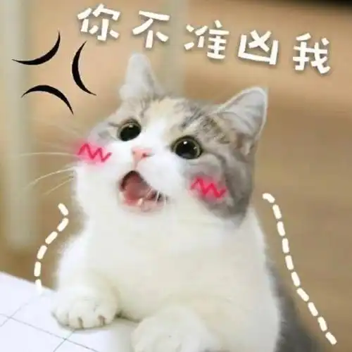  哇,可爱猫咪表情包来了,喜欢猫咪的快来收图,萌得我一塌糊涂