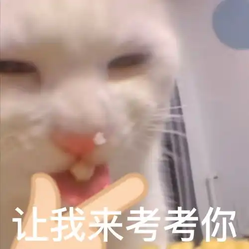  g的猫表情包合集2