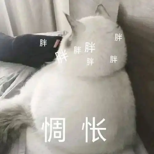  表情包蕉个朋友