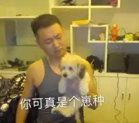  合集药水哥表情包