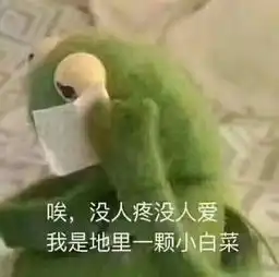  买买买被花呗套住的年轻人,这个月你还清了吗