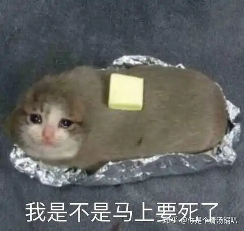 想你想你表情包图片头像