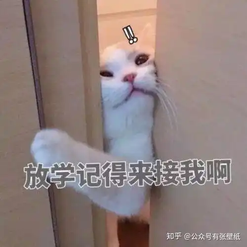  可爱的人要用可爱的表情包呐
