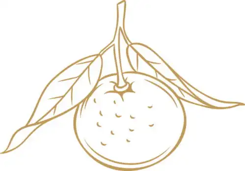  简笔画表情矢量图标惊讶
