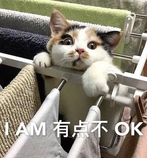  为橙光地团第一神作梦境边缘开楼