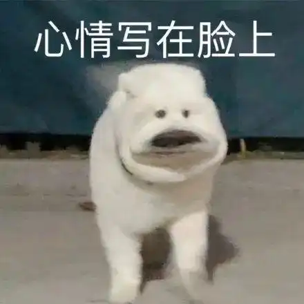  zaker精彩段子