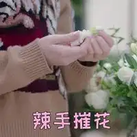 迪丽热巴配字表情包表情