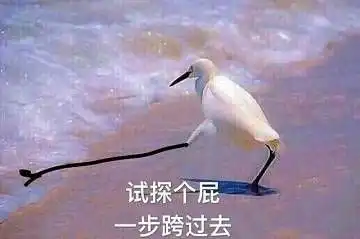 违章表情包边缘