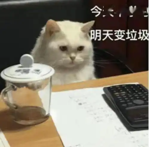  你的假期余额已不足