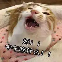  想妈妈表情包微信头像图片大全