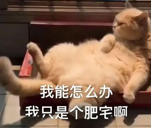  天津相声广播复印机可以有多离谱孩子