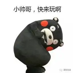  宝安体育馆变身梦幻排球世界排球全明星正赛等你来约