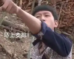  表情包,我的生活被安排的明明白白